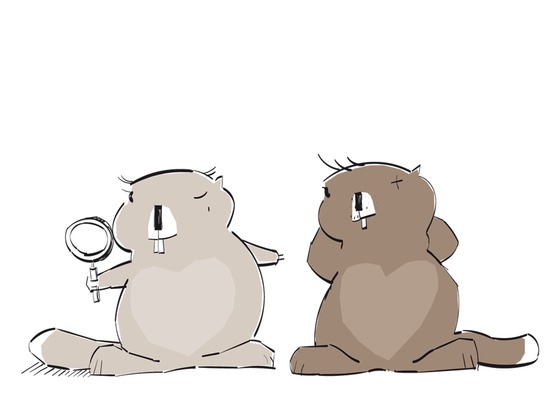 Forscherbuch: Burmi &amp; Burmina