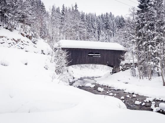 Leidtobelbrücke unterhalb von Hirschegg
