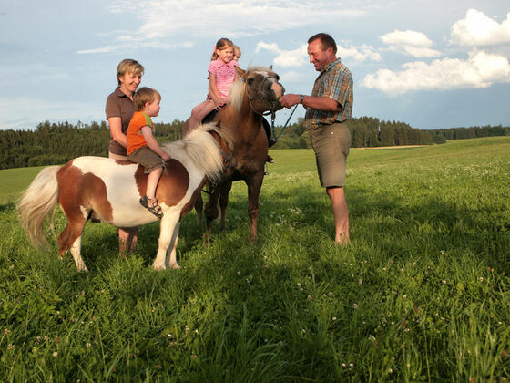 Zwei Kinder sitzen auf Ponys. Die Eltern stehen daneben.