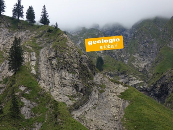 Verfaltete Allgäu-Formation an der Unteren Schneeflucht