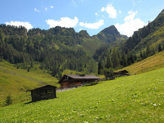 Aigenalm-Mandlhütte, 1.342 m