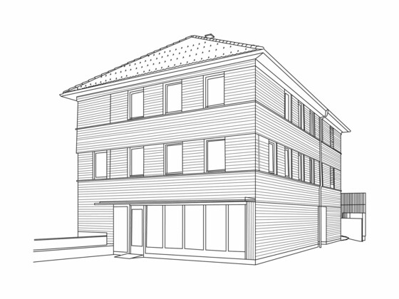 Haus N. Hittisau