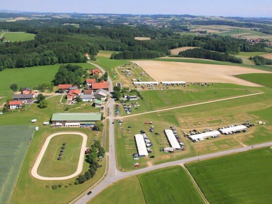 IslandpferdeLichtegg