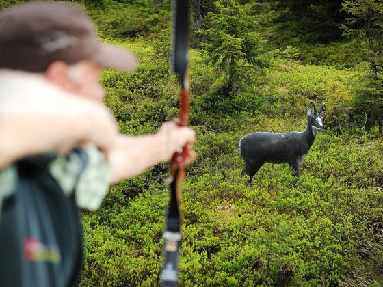 Bogenparcours Jufenalm
