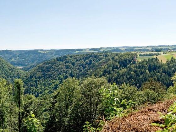 Panoramablick Verlorenes Reith, Pfarrkirchen