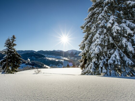 Winterwunderland Oberstaufen