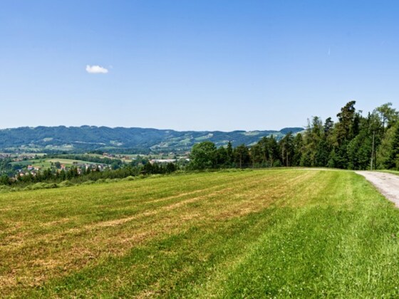 Oberlandshaag