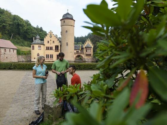 Wasserschloss Mespelbrunn