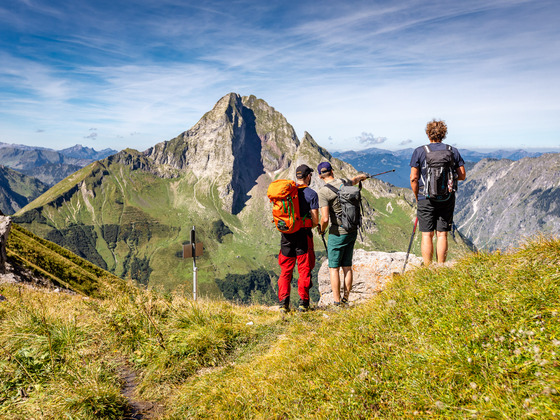Die Höfats dominiert den Blick vom Hornbachjoch.