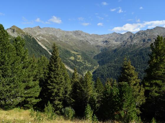 Blick von Boscheben auf das Viggartal und die Kreuzspitze
