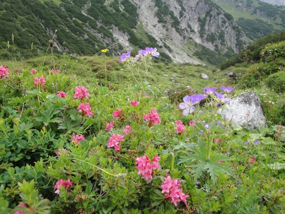 Imst, Hanauer Hütte, von Anhalter Hütte bis Hanauer Hütte