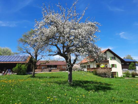 20210509_135531verkleinert