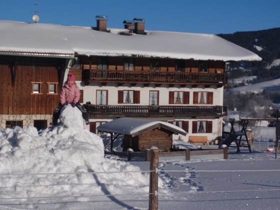 Winter am Hof