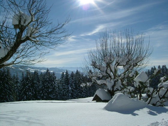 Winterlandschaft