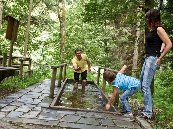 Kneippweg