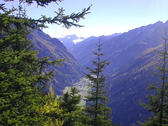Blick vom Kaunerberg