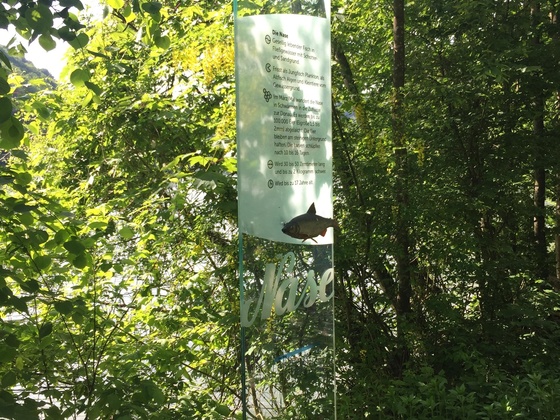 image00021
