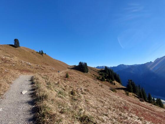 Komfortabler Weg zum Aussichtspunkt Lachenkopf.