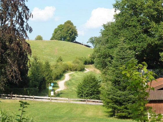 Höfeweg Von der Blüte zum Honig