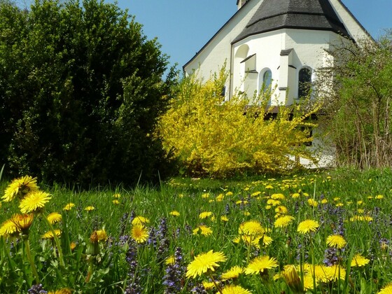 Stiftskirche-Seekirchen