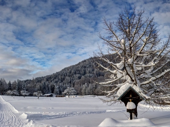 Inzell-Verschneites Tal