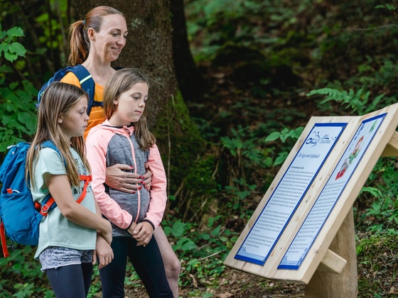 Spiel- und Sagenweg, Sagenbuch im Wald