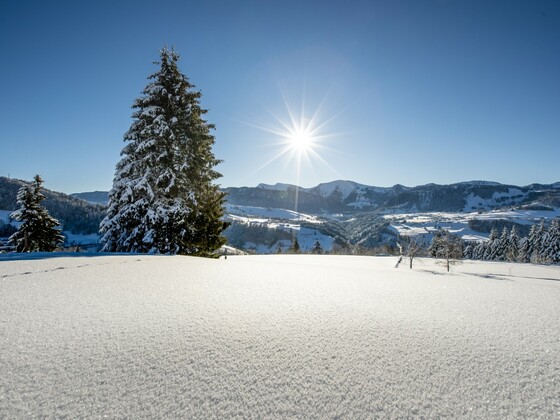 Traumhafter Wintertag in Oberstaufen