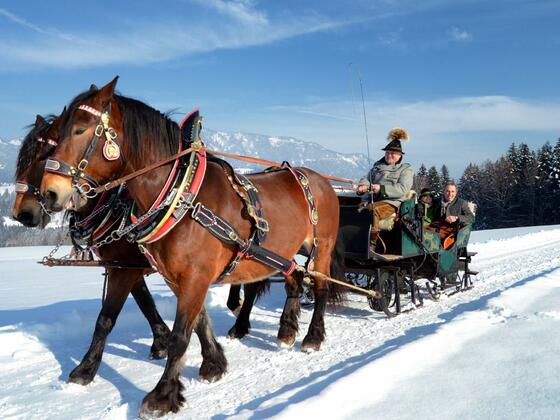 Pferdeschlittenfahrt