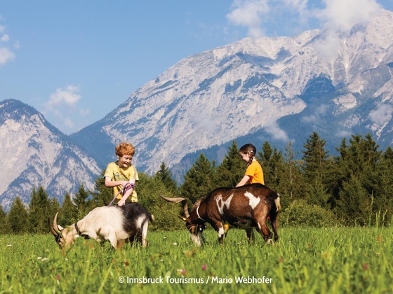 Am Natterer Boden findet sich beim gleichnamigen Gasthaus ein kleines Tierparadies