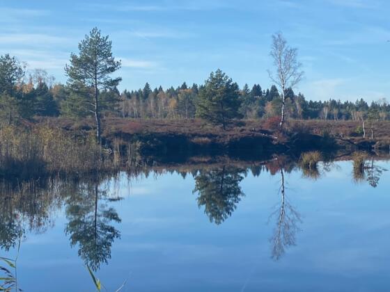 Moorsee