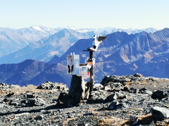 Geier - Tuxer Alpen