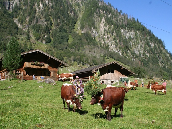 Gruberalm