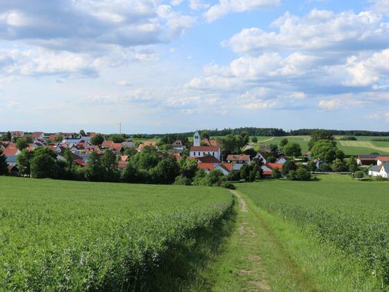 Wanderweg über die Felder