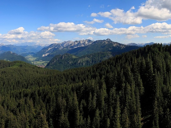 Panoramablick von der Alpspitze in Nesselwang