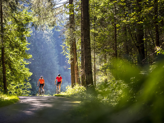 Flachau am Gravel-Bike entdecken!