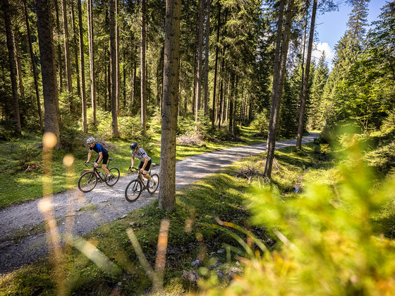 Flachau am Gravel-Bike entdecken!