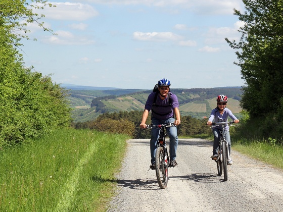 Radler auf dem Weg nach Gemünden