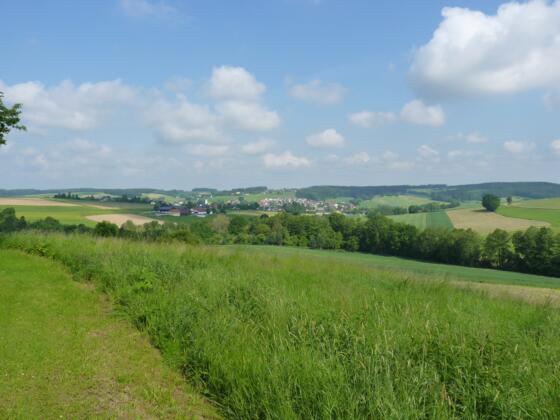 Ausblick am Flurbereinigungsdenkmal bei Steinbach