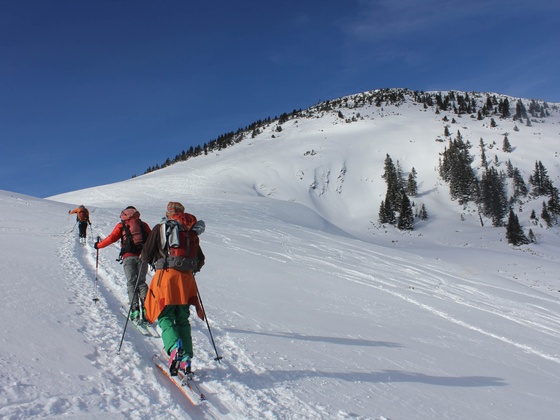 Blick zum Gipfelhang des Simetsbergs