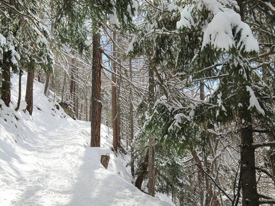 Winterwandern