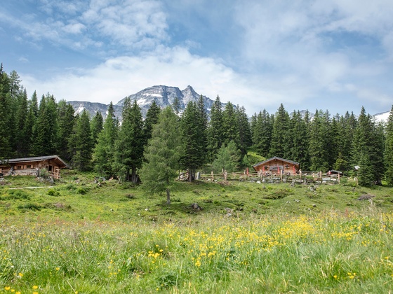 Hohe Tauern Panorama Trail - ET15 Raurisertal - Gainschniggalm