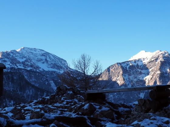 Vord. Signalkogel 906m mit Brunnkogel