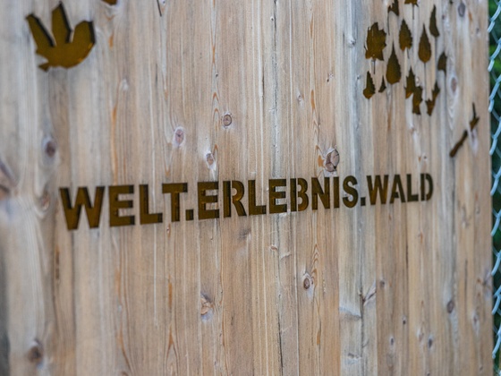 Eingangstor Welt.Erlebnis.Wald