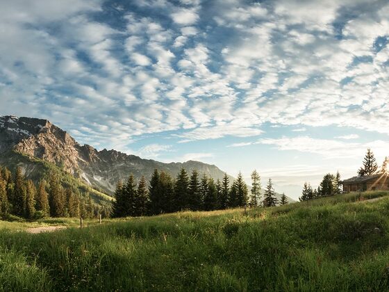 Die obere Ahornalm am Roßfeld