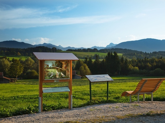 Station auf dem Vogellehrpfad