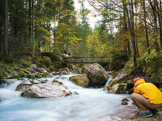 Das Wasser rauscht durch den Zauberwald