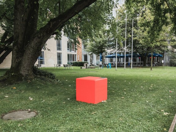 Grünfläche des Hochschulgeländes auf Seiten der Barer Straße