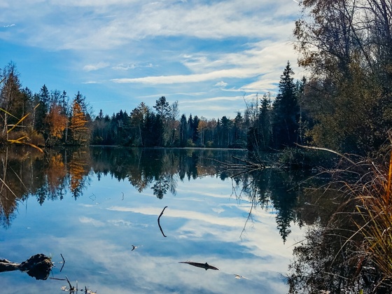 Birkensee zwischen Gelting und Eurasburg