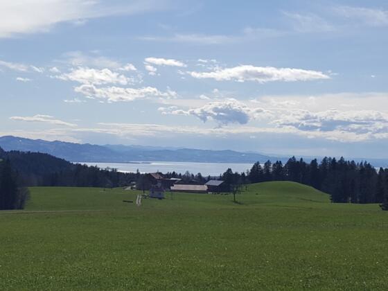 Blick von Lötz zum Bodensee