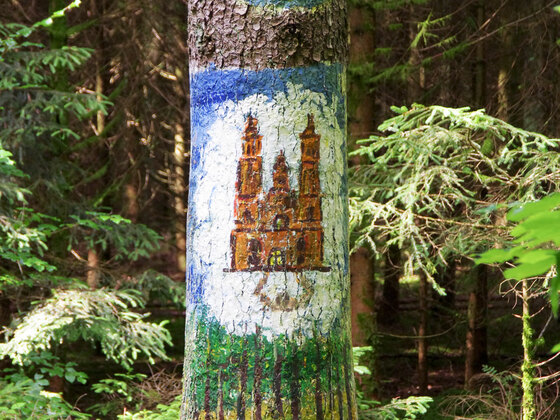 Baumbilder - u.a. Kathedrale von Santiago de Compostela